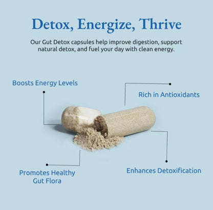 Max Daily Gummies Natural Support
